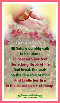 Heal with Her Feet.jpg